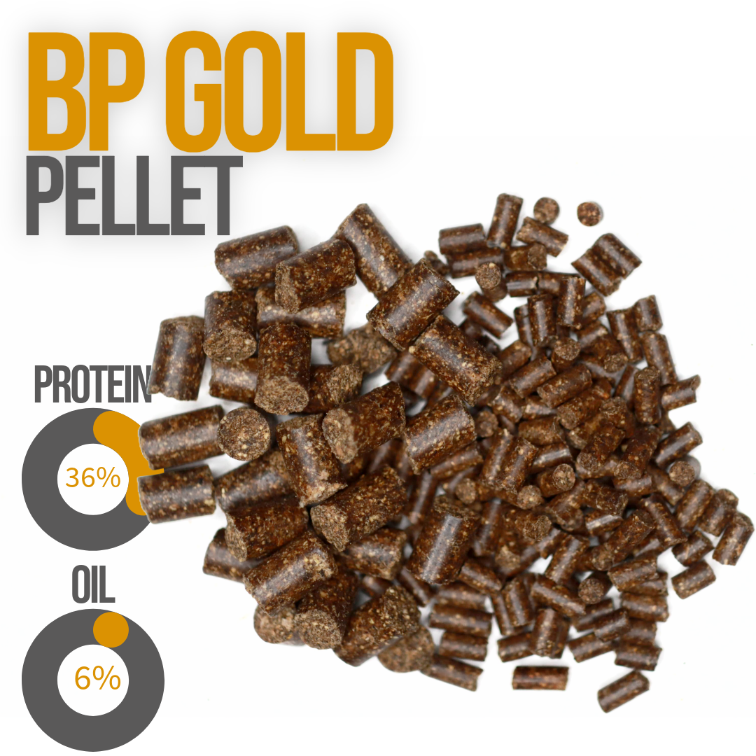 BP Gold- High Protein Grower Pellet